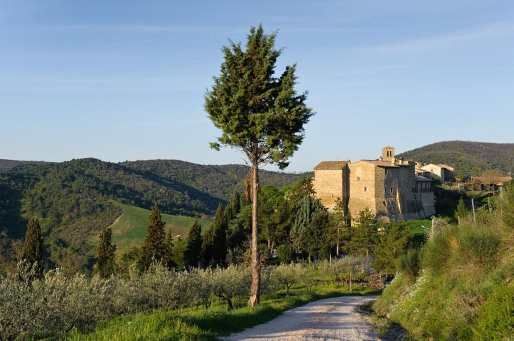 Umbria Nel Cuore Cannara Zewnętrze zdjęcie